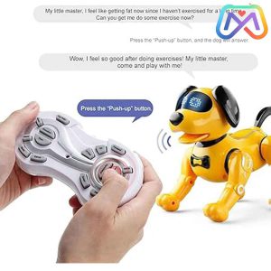 ربات سگ کنترلی کد R19