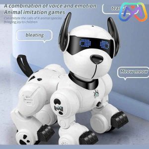 سگ هوشمند کنترلی کد K27