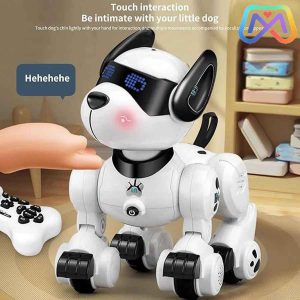 سگ هوشمند کنترلی کد K27