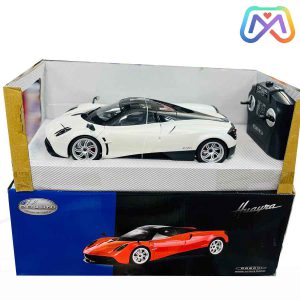 کنترلی پاگانی آیتم2301