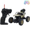 ماشین کنترلی افرود فلزی CRAWLER دودزا 2092