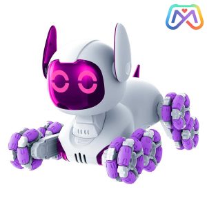 ربات کنترلی سگ هوشمند 9_4