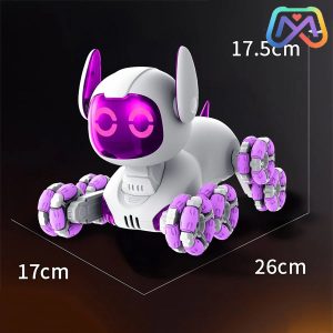 ربات کنترلی سگ هوشمند 9_4