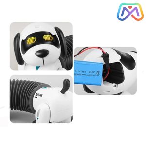 رباتیک کنترلی سگ فنری k22