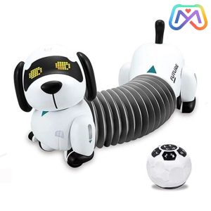 رباتیک کنترلی سگ فنری k22