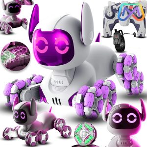 ربات کنترلی سگ هوشمند 9_4