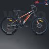 دوچرخه WEGO سایز 24 کد 2475